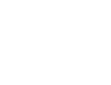 9X Tashan