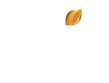 Colors Rishtey